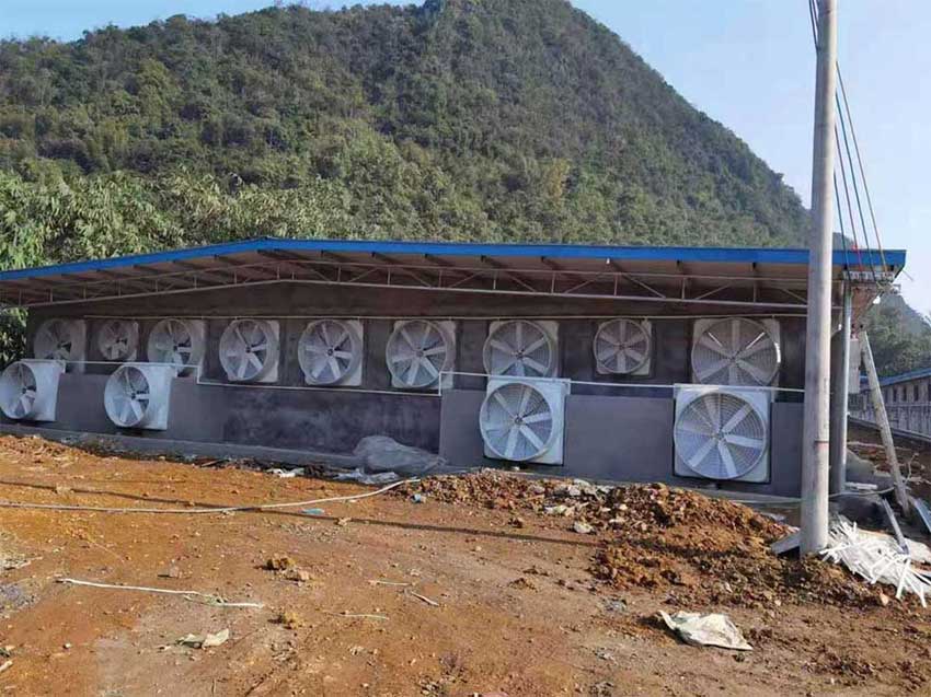 養豬場降溫解決方案